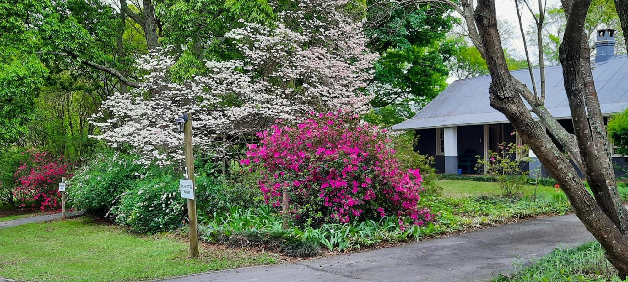 Mill Cottages Lidgetton Exterior foto